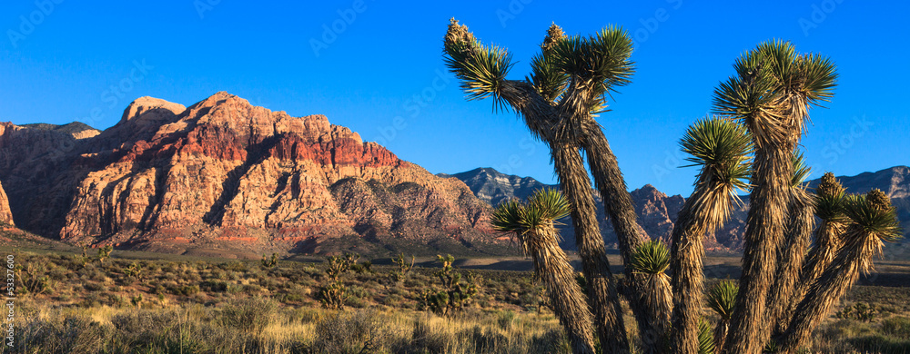 Nevada Desert - obrazy, fototapety, plakaty 