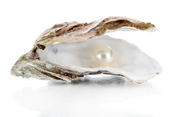 Wall Mural - Open oyster with pearl isolated on white