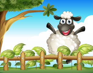 Wall Mural - A playful sheep inside the wooden fence