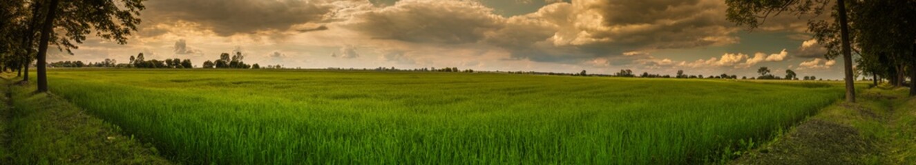 Polish summer landscape, panorama with clouds and trees