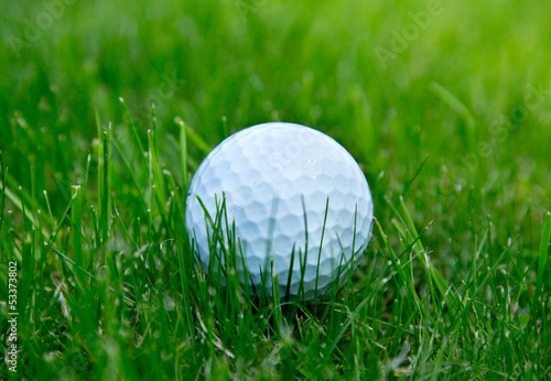 Obraz na płótnie canvas Piłka golfowa