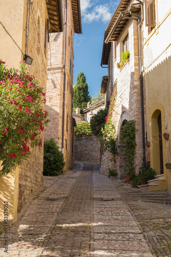 Naklejka na drzwi Vicolo di Spello