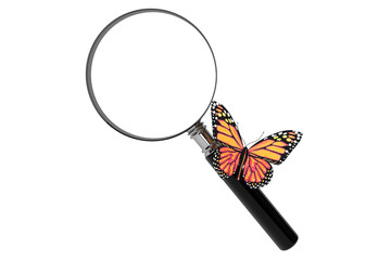 Fototapete - Butterfly with magnifying glass