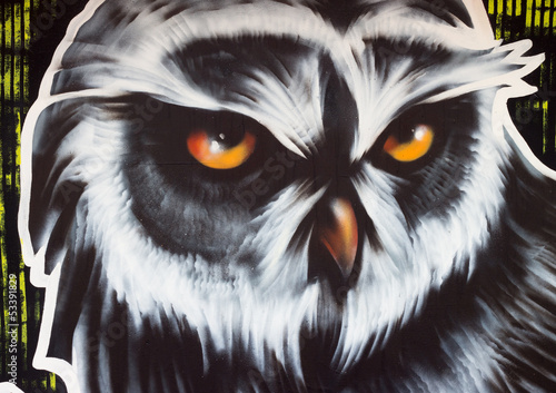 Nowoczesny obraz na płótnie Owl