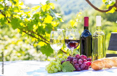 Fototapeta na wymiar wein auf dem ländle