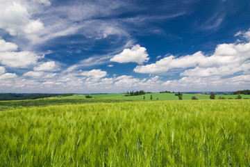 Summer countryside - green field and blue sky with clouds