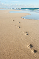 Human footprints on the beach sand