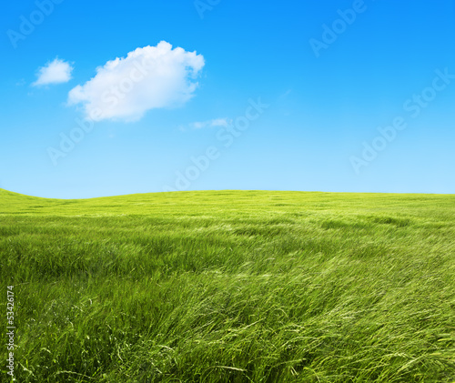 Tapeta ścienna Krajobraz zielona trawa fields.background natura