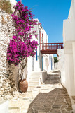 Fototapeta  - Traditional greek alley on Sifnos island, Greece