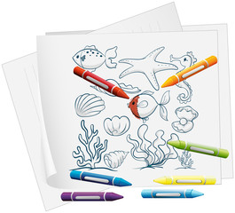 Poster - A paper with the different sea creatures and crayons