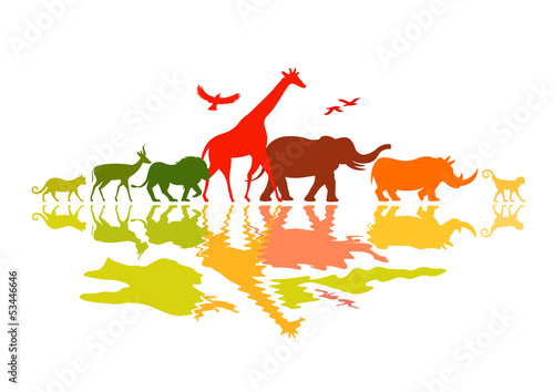 Plakat na zamówienie Kolorowy symbol zwierząt Afryki