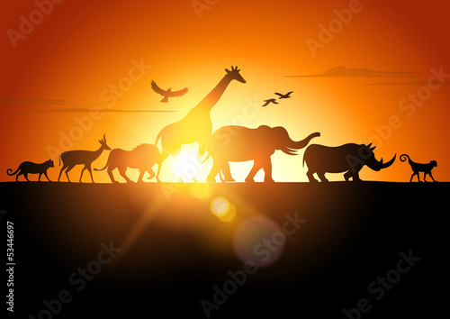 Plakat na zamówienie Sunset Safari