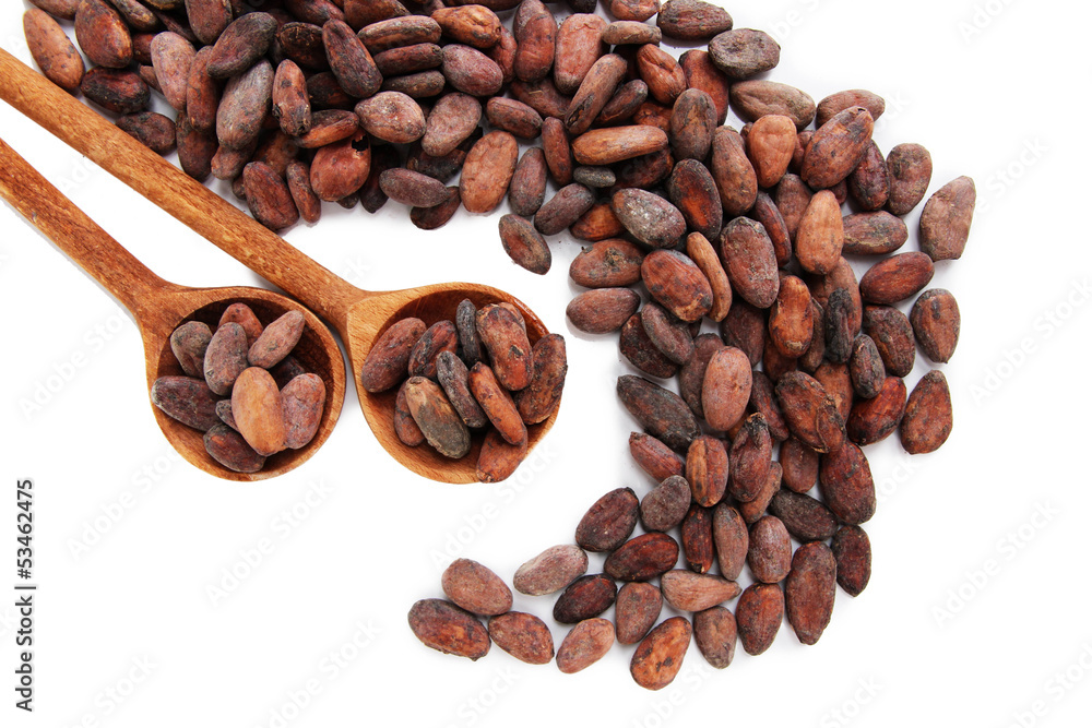 Cocoa beans in wooden spoons, isolated on white