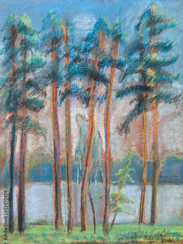 Fototapeta na wymiar Pines on the bank of lake