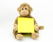 Monkey With Note Pad