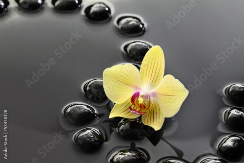 Board z aluminiowym obramowaniem Czarne kamienie zen i orchidea na spokojnym tle wody