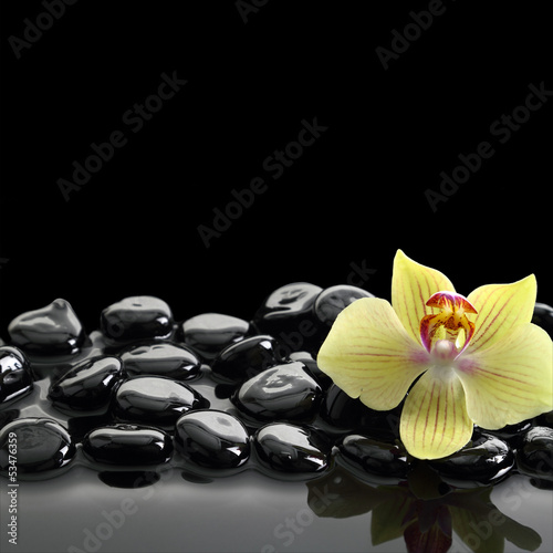 Tapeta ścienna Czarne kamienie zen i orchidea na spokojnym tle wody