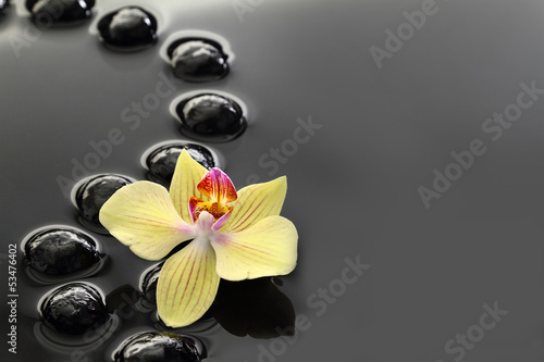 Board z aluminiowym obramowaniem Czarne kamienie zen i orchidea na spokojnym tle wody