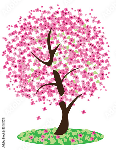 Board z aluminiowym obramowaniem Wektor wiśniowe drzewo