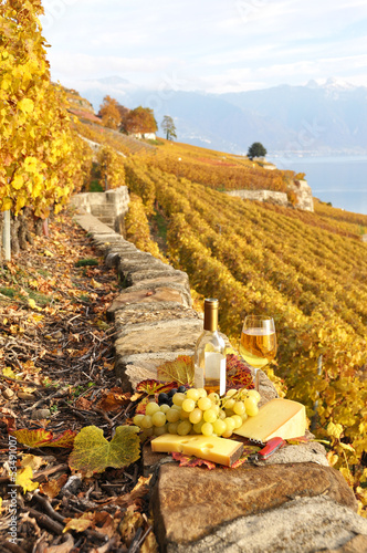 Fototapeta do kuchni Glass of white wine and chesse on the terrace vineyard in Lavaux