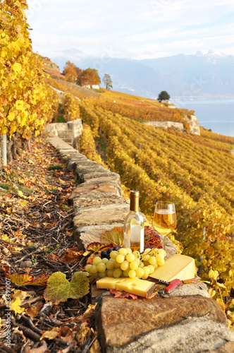 Naklejka - mata magnetyczna na lodówkę Glass of white wine and chesse on the terrace vineyard in Lavaux