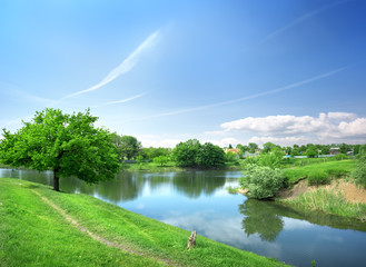 Wall Mural - Spring landscape with the river