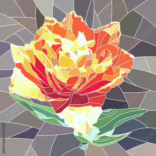 Fototapeta na wymiar Vector illustration of orange tulip.