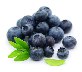 Poster - Blaubeeren