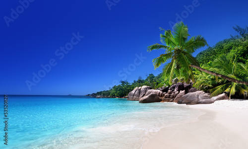 Fototapeta na wymiar beach at Praslin island, Seychelles