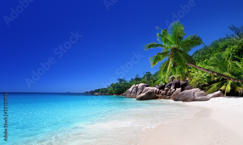 Naklejka dekoracyjna beach at Praslin island, Seychelles