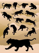 Tiger, Panther, Leopard, Gesture Silhouettes