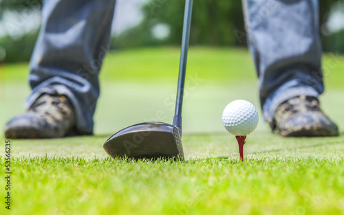 Obraz na płótnie canvas dwuczęściowy "dyptyk" Golf