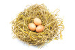 © birdeyefotolia - eggs in nest