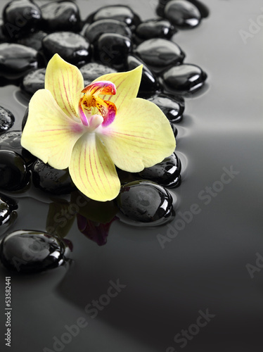 Fototapeta na wymiar Black Zen stones and orchid on calm water background