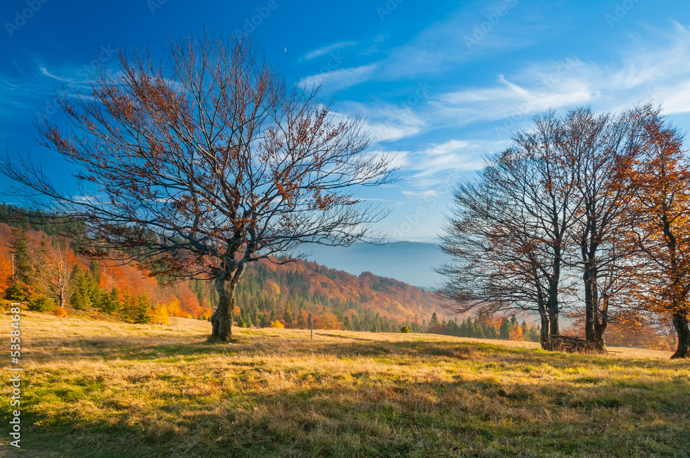 The mountain autumn landscape in Beskidy - obrazy, fototapety, plakaty 