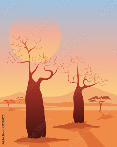 Tapeta ścienna Baobab