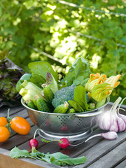 Wall Mural - fresh vegetables