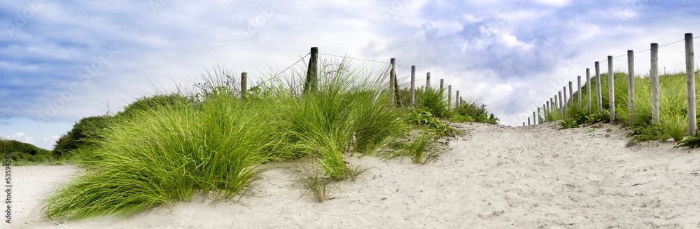 Sand dune at the beach in scheveningen netherlands - obrazy, fototapety, plakaty 