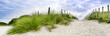 Sand dune at the beach in scheveningen netherlands
