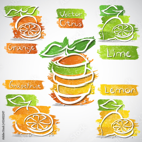 Naklejka dekoracyjna Citrus