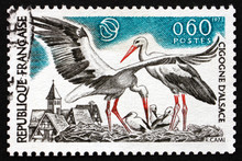 Postage Stamp France 1973 White Storks, Bird