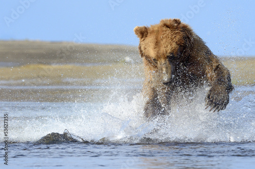 Board z aluminiowym obramowaniem Niedźwiedź grizzly skoki na ryby