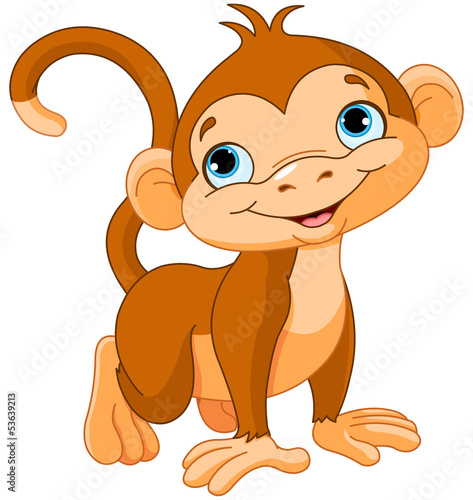 Obraz w ramie Baby monkey