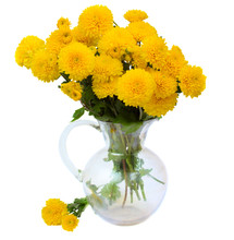 Bouquet Of Yellow Mums In Vase