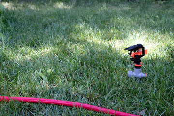 Sprinkler in the grass