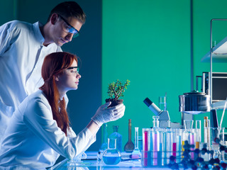botanical research