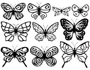 Poster - Butterflies.