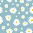 © Lenan - Camomile background.