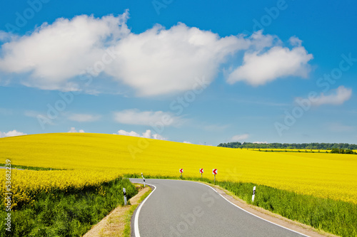 Foto-Banner - Blühende Frühlingslandschaft mit Rapsfeldern (von TIMDAVIDCOLLECTION)