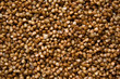 fried Buckwheat grains